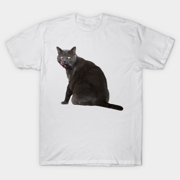 Russian Blue Cat T-Shirt by Kelly Louise Art